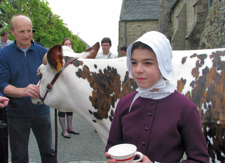 Le lait de mai dans le Nord-Cotentin