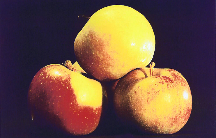 Pommes à cidre - Quand l'odeur monte des greniers et des cours de ferme