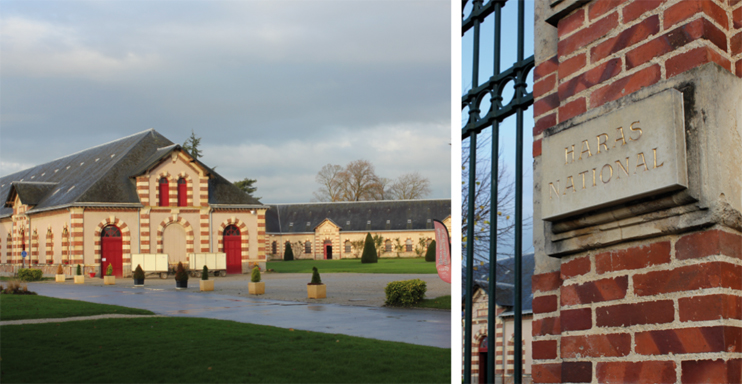 Le Haras National de Saint-Lô fait peau neuve