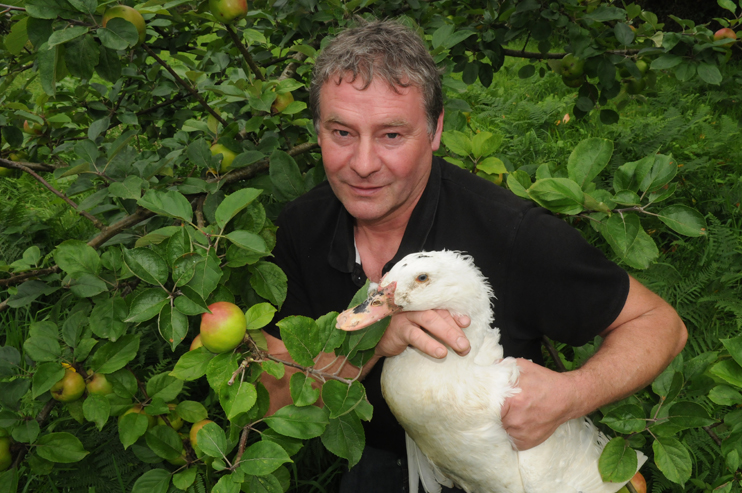 Le foie gras normand