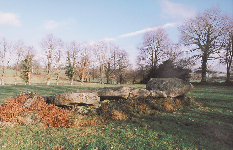 Menhirs et dolmens du Houlme