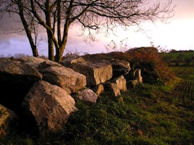 L'allée couverte du Grand Breuil aux Moitiers d'Allonne.