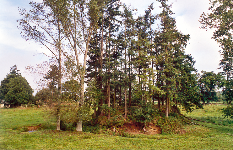 Athis-de-l'Orne - Meurtre et cimetière protestant au hameau de la Motte