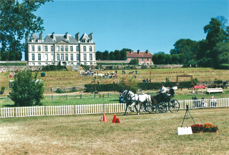 Attelage européen au haras du Pin