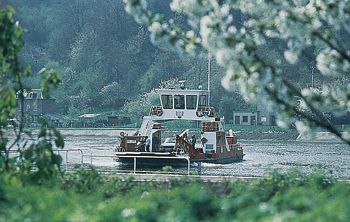 Bac de Jumièges. (Collection Parc de Brotonne, photo Huon, Caudebec-en-Caux.)