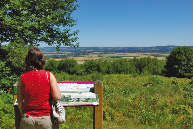 À la découverte de la forêt de Gouffern et de ses abords