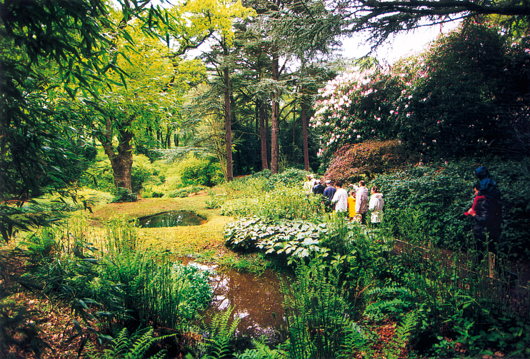 Le bois des Moutiers - Varengeville-sur-Mer