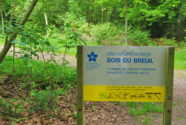 Les couleurs du bois du Breuil