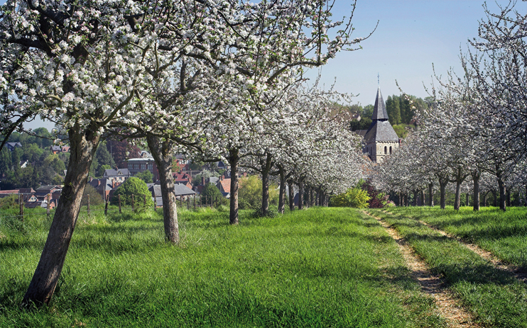 Cambremer, terroir d'excellence