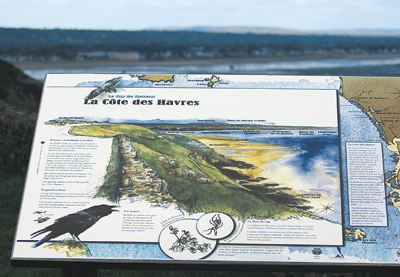 Le cap de Carteret. Oiseau protégé, le grand corbeau fait l’objet d’une attention particulière de la part des protecteurs de la nature. Les explications destinées aux visiteurs des falaises contribuent à la connaissance de ce passereau. (© Jean de la Py-Ouitte)