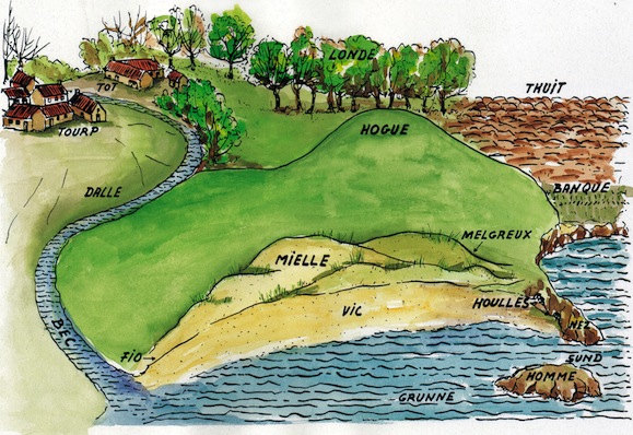 Dessin montrant les termes décrivant le paysage qui sont passés dans la toponymie ou ont été conservés, pour certains, dans les parlers locaux, en particulier dans le Cotentin, plus éloigné de Paris. Vic (vík en scandinave) est une anse, le homme (du vx.scand. holmr est un îlot, attesté en toponymie tardivement). En toponymie aussi : le sund est un détroit, le nez (nes) un cap, le bec (bekkr) un ruisseau, la dalle (dalr) une vallée, le tourp (thorp, un hameau), le tot (topt) un emplacement pour une ferme d’où une ferme, la banque un talus, le thuit (thveit) un essart, la hogue (haugr) une éminence, la londe (lundr) un petit bois. Ebbe (marée basse) et fio (marée haute), ainsi que mielle (dunes - melar) et melgreux (oyat - melgres) sont encore attestés dans les parlers du Cotentin, entre autres (© Georges Bernage).