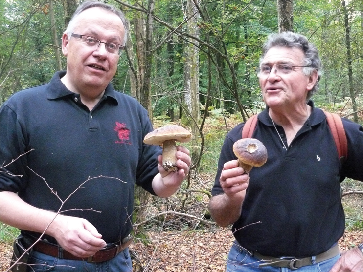 Les champignons en Normandie