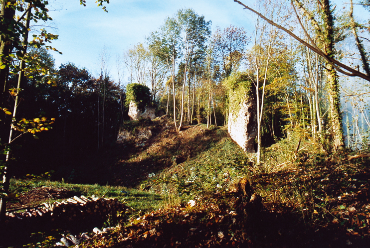 Château de Montfort-sur-Risle : un exemple à suivre