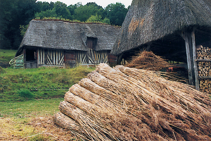 Bottes de roseaux dans la cour de la ferme. (Photo Alexandre Vernon © Patrimoine Normand.)