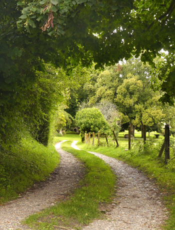 Un chemin de terre emmène vers ce magnifique trou de verdure où s’élevait autrefois l’une des grandes abbayes normandes. (© Francois Louchet)