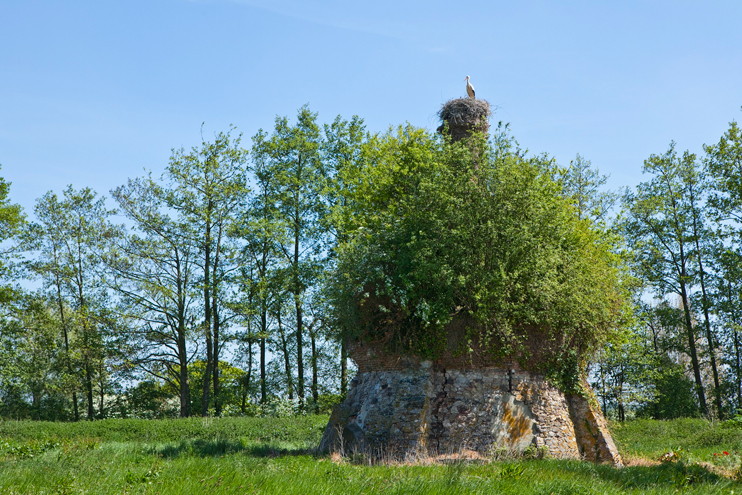 Les « marais verts » du Cotentin et du Bessin