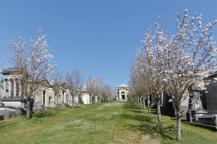 Le cimetière monumental de Rouen