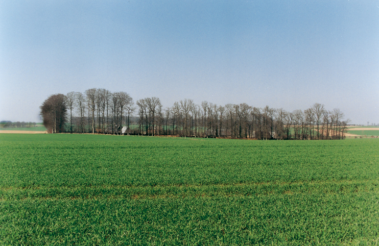 Les cours-masures du pays de Caux