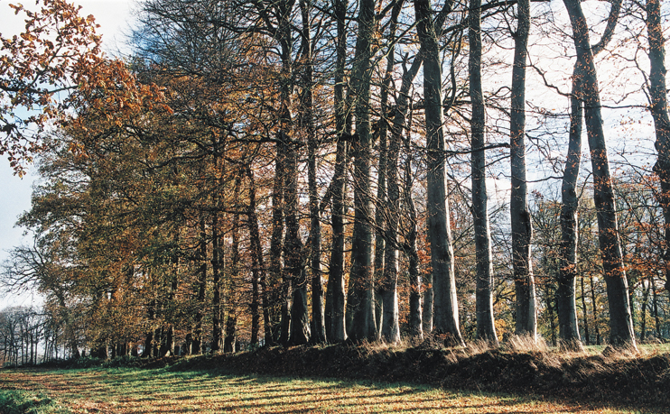 Clos-masure. (­­Photo Alexandre Vernon © Patrimoine Normand)