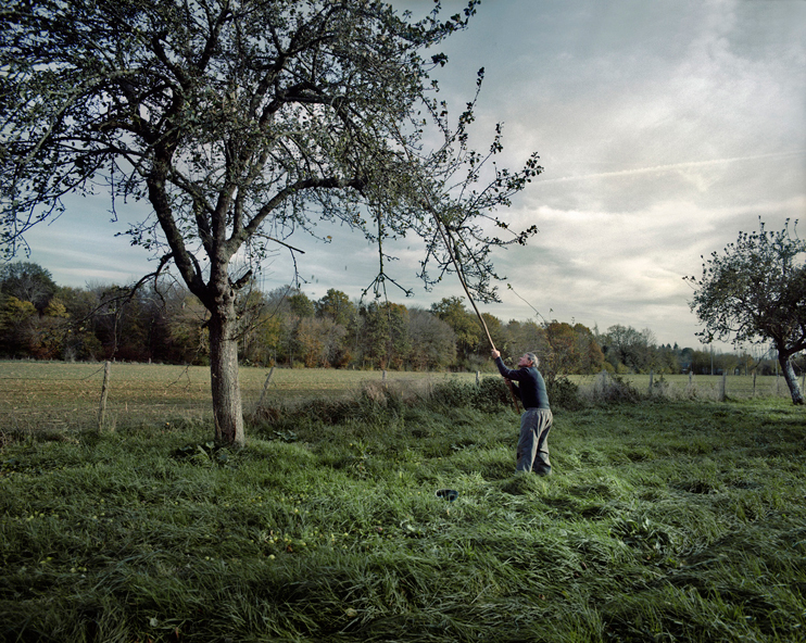 Exposition « Des hommes et des pommes » au château de Martainville