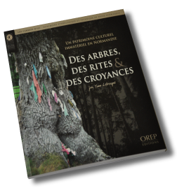 Des arbres, des rites & des croyances