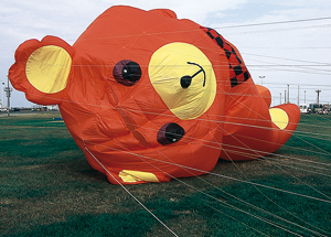 À Dieppe, le festival des cerfs-volants fut un autre temps fort de cette saison. (© Patrimoine Normand)