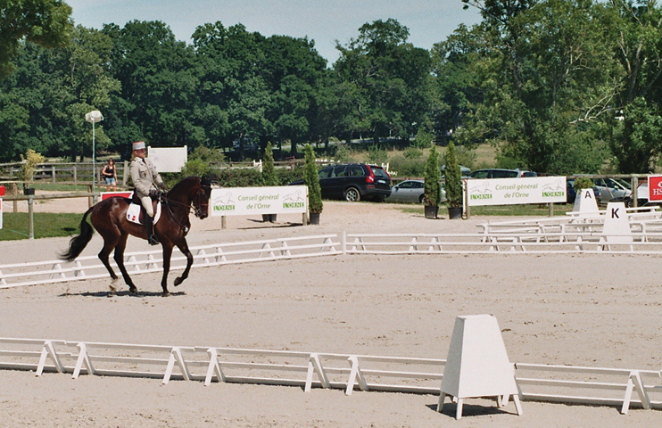 Dressage aux Jeux Équestres Mondiaux