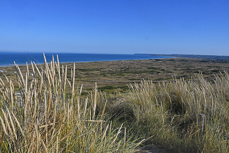 Les dunes d’Hatainville – D’herbes et de sable