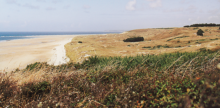 D’herbes et de sable les dunes d’Hatainville