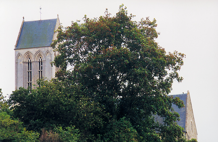 Église de Tilly-sur-Seulles. (Photo Isabelle Audinet © Patrimoine Normand.)
