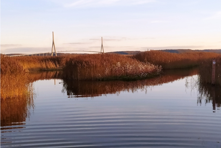 La Seine – Estuaire sauvage