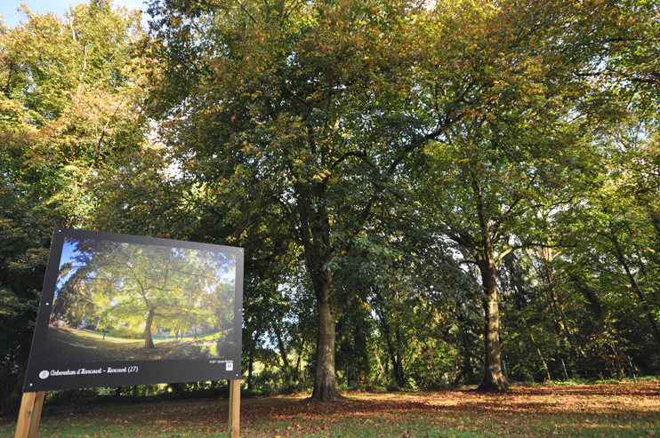 L'exposition en plein air « Petits et grands jardins de Normandie », à Thury-Harcourt  (Photo Antoine Pinable © Patrimoine Normand).