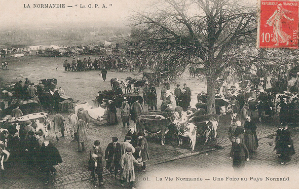 En Normandie, les foires ont toujours été très actives, événements commerciaux très importants, celle de Brix tout particulièrement. La taxe était de quatre deniers par pied pour un cheval. La Saint-Denis de Brix réunissait entre 4 000 et 6 000 chevaux ! (Coll. Jeannine Bavay)