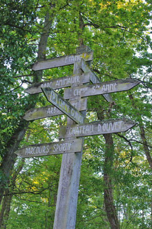 L’embarras du choix. (© Stéphane William Gondoin)