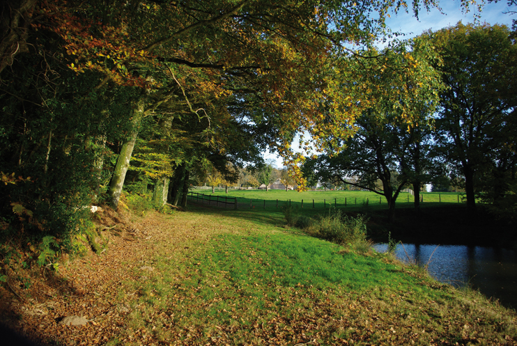 La forêt des Andaines & le souffle des légendes