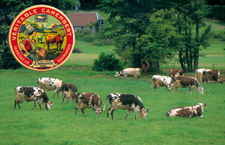 Balade fromagère en pays d’Auge