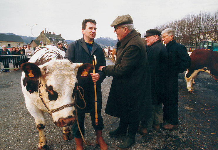 Les foires aux bestiaux en pays de Caux