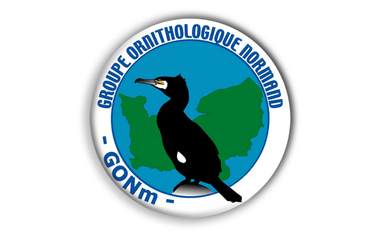 Logo « Groupe Ornithologique Normand »  (DR).