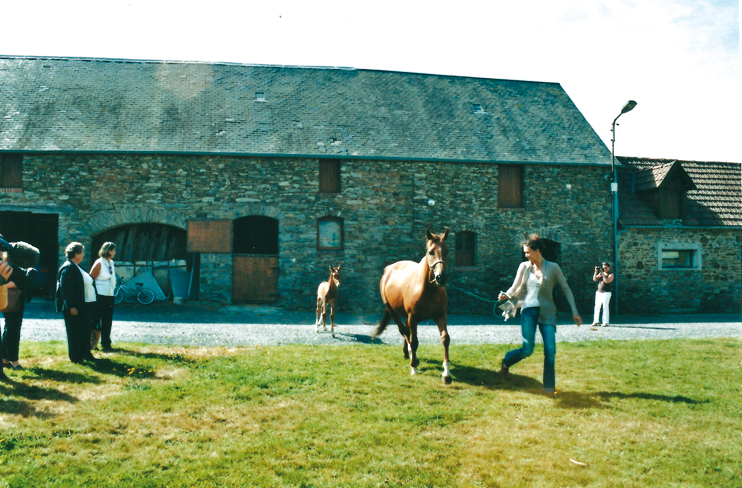 Cheval - La Normandie intéresse les Américains !