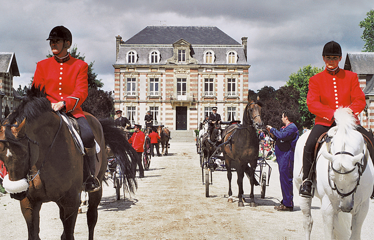 Saint-Lô - berceau du cheval de sport français