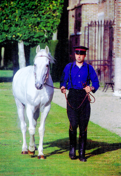 Haras du Pin