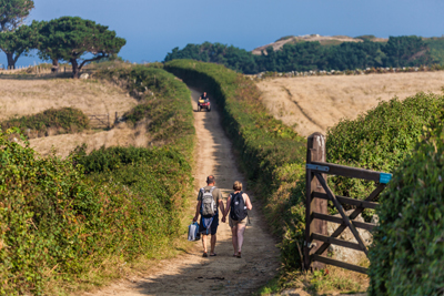 Dans la campagne de Herm. (© Chris George – States of Guernsey)