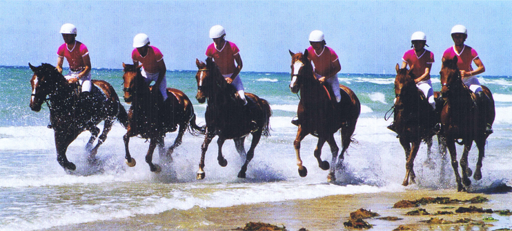 Horse-ball : une équipe phare au sémaphore d'Agon-Coutainville