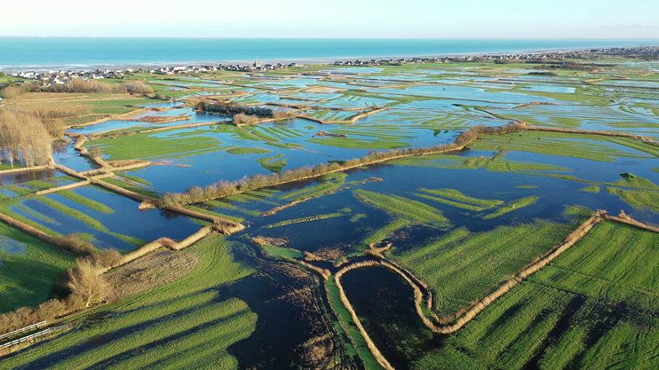 L'hiver au marais du Cotentin et du Bessin