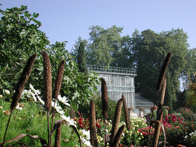 Jardin des plantes de Rouen : 3 siècles d'âge, et des roses normandes