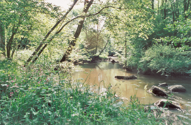 Bréel - ancien fief des Corday dans le Houlme et paradis des randonneurs