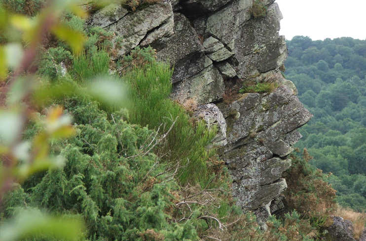 Suisse normande - partout des rochers...