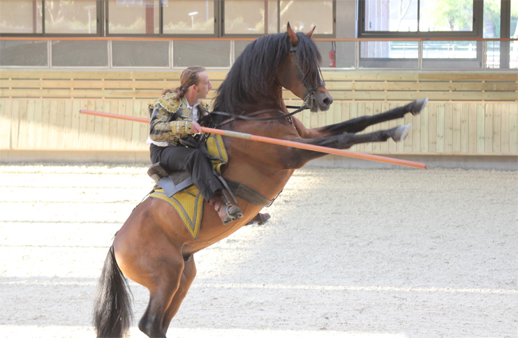 Émotions équestres à Deauville !