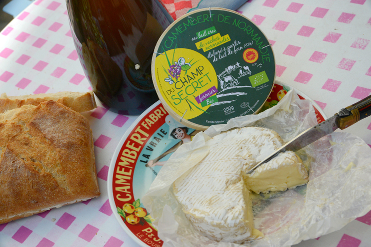 Le camembert - En savoir plus sur le camembert, origines et utilisation en  cuisine