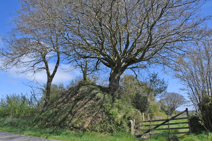 Vous avez dit Viking ? Le paradoxe des traces attribuées aux Vikings en Normandie